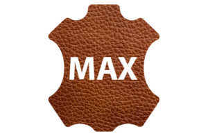 MAX LOGO1